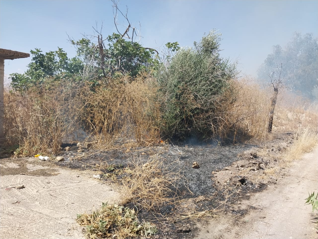 بالصور - احتراق أعشاب عملاقة يابسة في حرم قلعة بعلبك